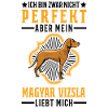 Magyar Vizsla Drahthaar Vizsla