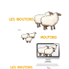Mouton passion idée cadeau éleveur