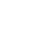 1994 NAISSANCE D’UNE LÉGENDE