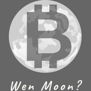 Wen Moon? Bitcoin going to the Moon! BTC shoots up