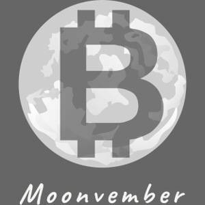 Moonvember- Bitcoin mooning in November - BTC Moon