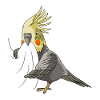 Nymphensittich