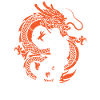 Wing Chun Dragon Fighter