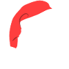 Funny Santa Hat
