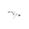 Plattdeutsch Moin Möwe Hamburger Spruch