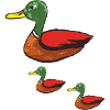 duck mom