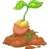Agriculture Sowing