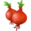 Onion