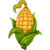 Corncob