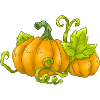 Pumpkin