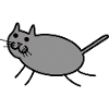 Kitty cat kitten Solo 1