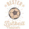 Bester Fußball Trainer