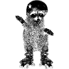 Raccoon
