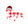 Pferd Weihnachten Geschenk