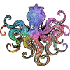 OCTOPUS OCTOPUS