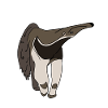 Anteater
