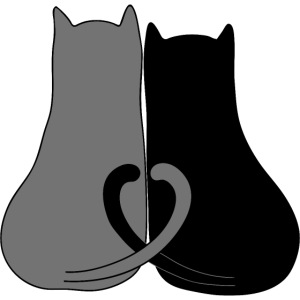 2 chat coeur