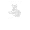 Koala Bear Koala Animal