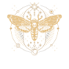 Moth Occult Aesthetic Insects Geometry