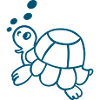 Turtle, Sea, Environment