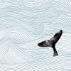 Baleines océaniques