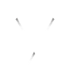 Fraction
