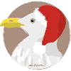 Möwe Weihnachtsmütze