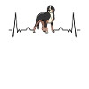 Großer Schweizer Sennenhund Herzschlag