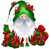 Wichtel Geschenke