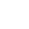 Dream Catcher