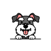 Schnauzer Daddy