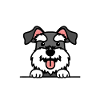 Schnauzer Mama