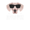 My Weimaraner is the coolest