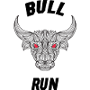 Bull Run