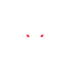Bull Run