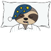 Offizielles Schlafshirt