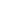 Paragleiter Dandelion Löwenzahn Gleitschirm
