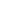 Stegosaurus Geometry Dino