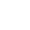 Pterosaur Dino Geometry