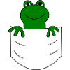 Grenouille dans le sac