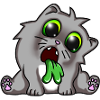 Chatte chatte chat