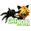 Miraculous Cat Noir Adrien Pose