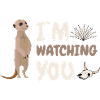 I'm watching you, funny meerkat
