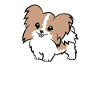 Life Is Better With Papillons