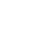 Ant