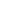 Husky Christmas
