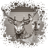 Deer and doe