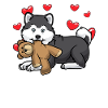 Pomsky Hund mit Kuscheltier