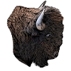 Buffalo