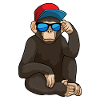Monkey with sunglasses